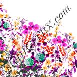 Colour:B