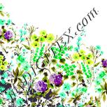 Colour:D