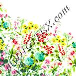 Colour:K