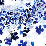 Colour:A