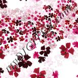 Colour:C
