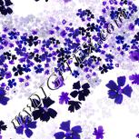 Colour:D