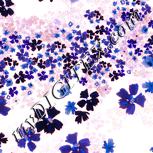 Colour:J