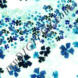 Colour:K