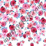 Colour:B