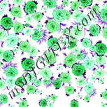 Colour:C