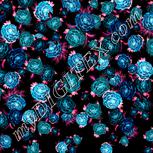 Colour:F