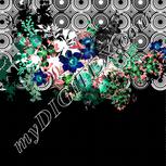 Colour:F