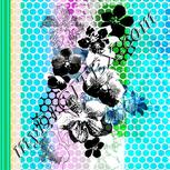 Colour:B