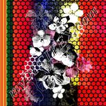 Colour:F