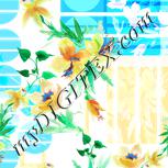 Colour:A