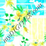 Colour:K