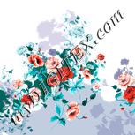 Colour:B