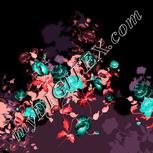 Colour:F