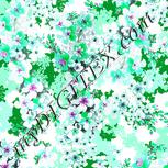 Colour:B