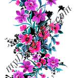 Colour:B