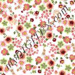 Colour:A