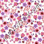 Colour:B