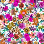 Colour:B