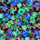 Colour:F
