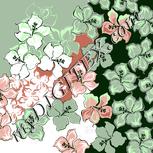 Colour:C