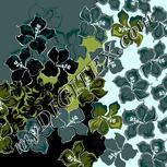 Colour:F
