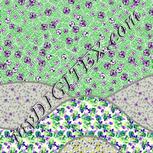 Colour:D