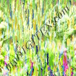 Colour:K