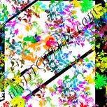 Colour:B
