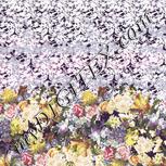 Colour:A