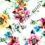 Colour:K