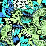 Colour:K