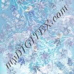 Colour:F