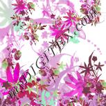 Colour:C