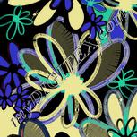 Colour:F