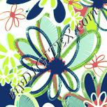 Colour:K