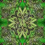 Colour:D