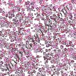Colour:B