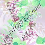 Colour:C