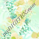 Colour:K