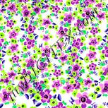 Colour:C