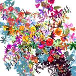 Colour:A
