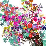 Colour:B