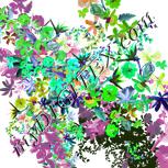 Colour:C