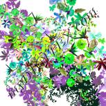 Colour:D