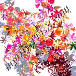 Colour:J