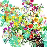 Colour:K