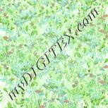Colour:K