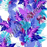 Colour:D