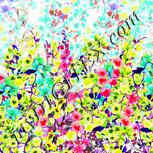 Colour:C
